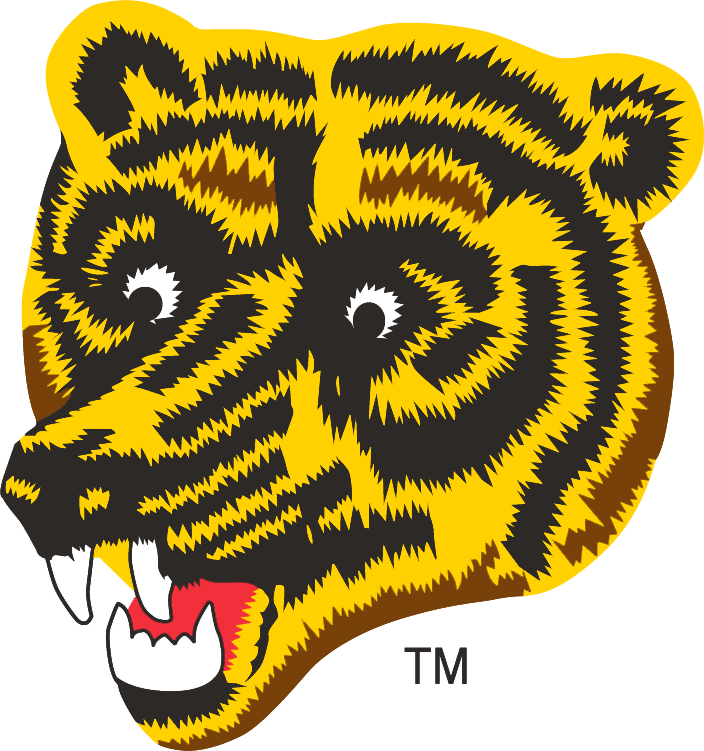 Boston Bruins 1976-1995 Alternate Logo fabric transfer